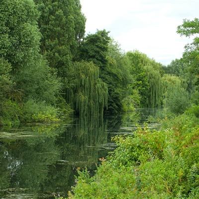 乐鱼官方手机app下载